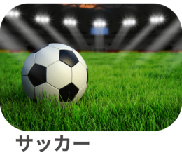 サッカー サッカー