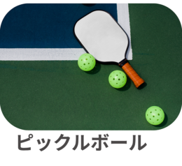 ピックルボール ピックルボール