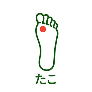 胼胝（たこ）