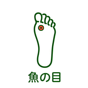 魚の目